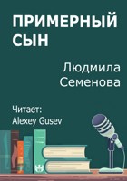 Обложка произведения Примерный сын