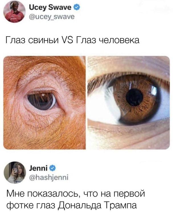 Человек который не стесняется в выражениях. Человек который не стесняется в выражениях