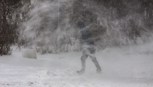 Обложка произведения Буря