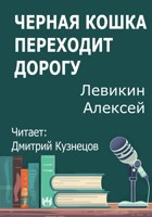 Обложка произведения Черная кошка переходит дорогу