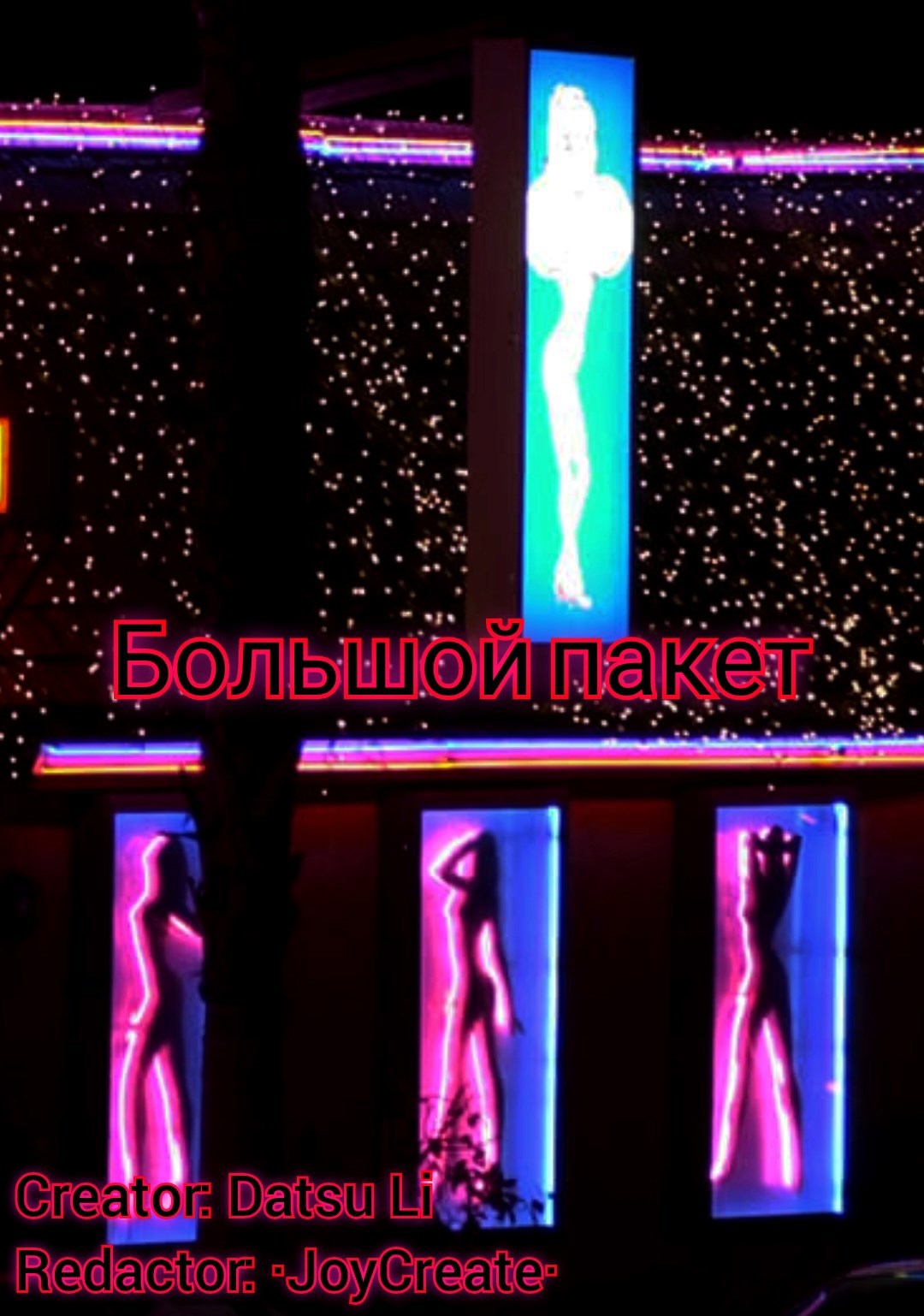 Обложка произведения Большой пакет