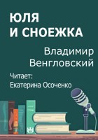 Обложка произведения Юля и сноежка