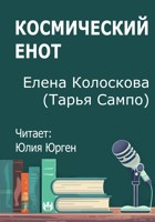 Обложка произведения Космический енот