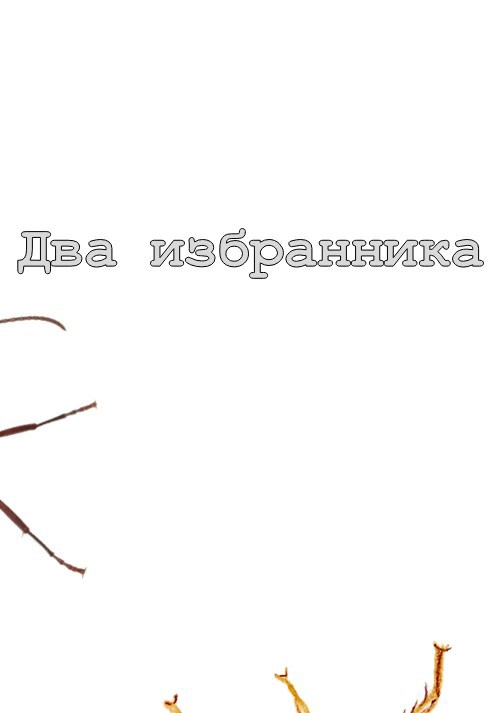 Обложка произведения Два избранника