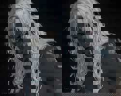 Ичиро, первый сын Бездны