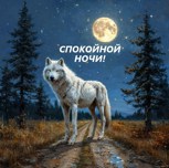 Обложка произведения Спокойной ночи!