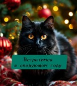 Обложка произведения Встретимся в следующем году