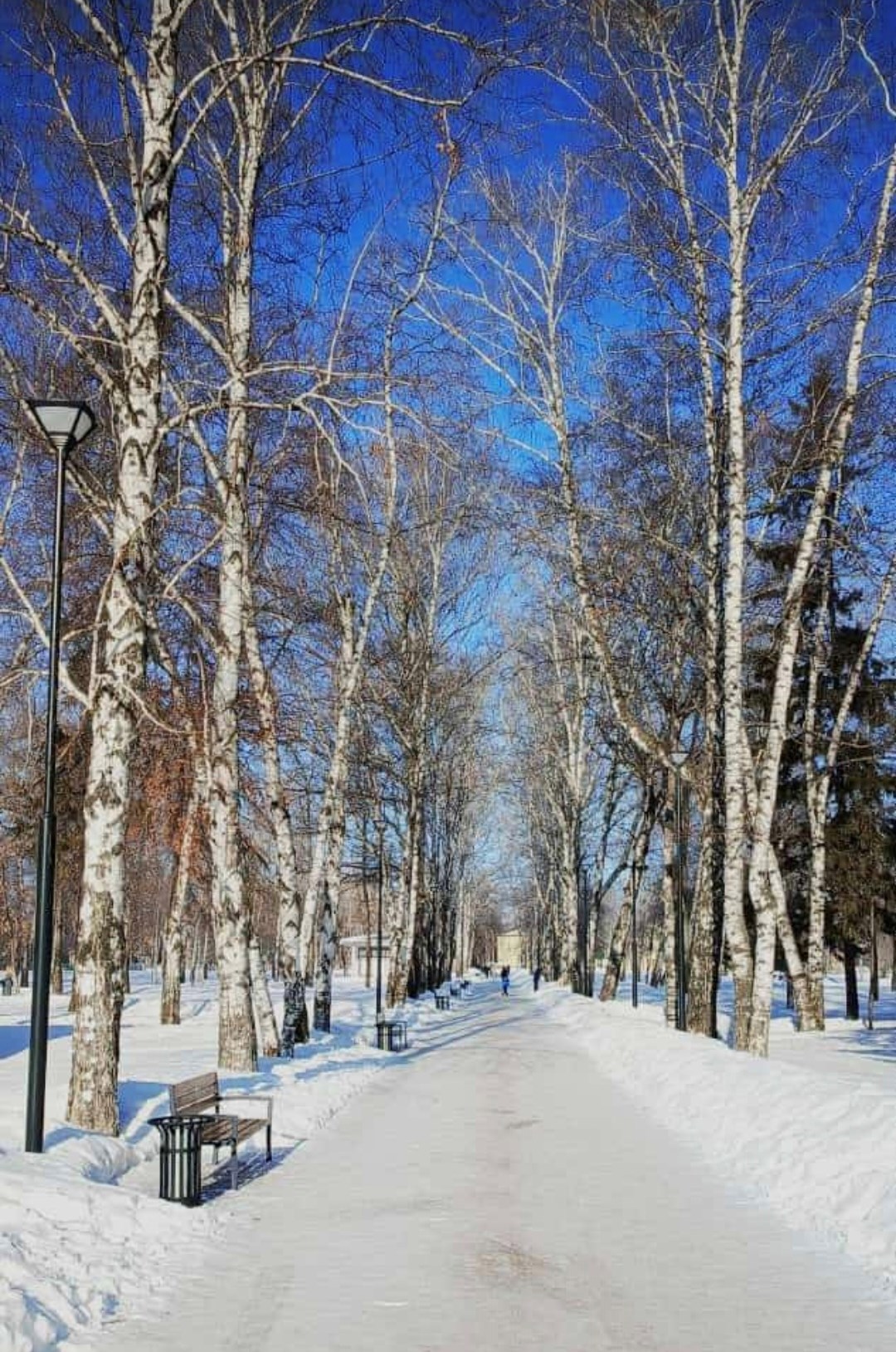 Обложка произведения Любовь