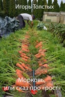 Обложка произведения Морковь, или сказ про «рост»