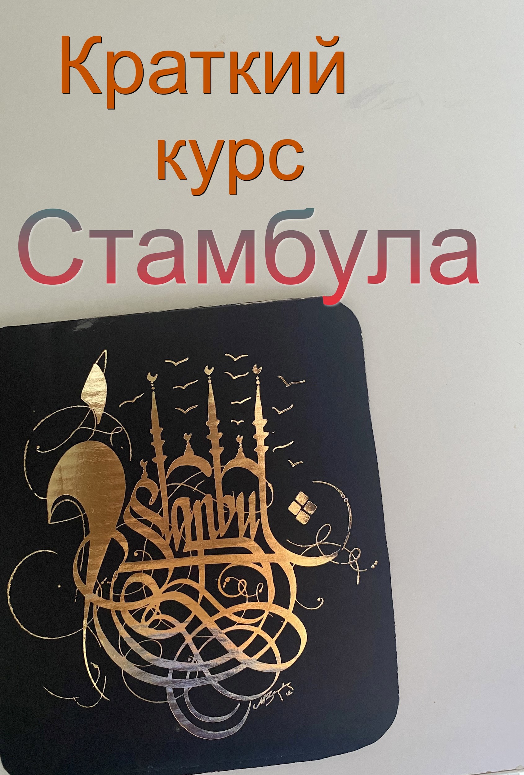 Обложка произведения Краткий курс Стамбула