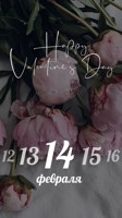 Обложка произведения 14 Февраля