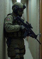 Обложка произведения Группа Альфа в потусторонье.