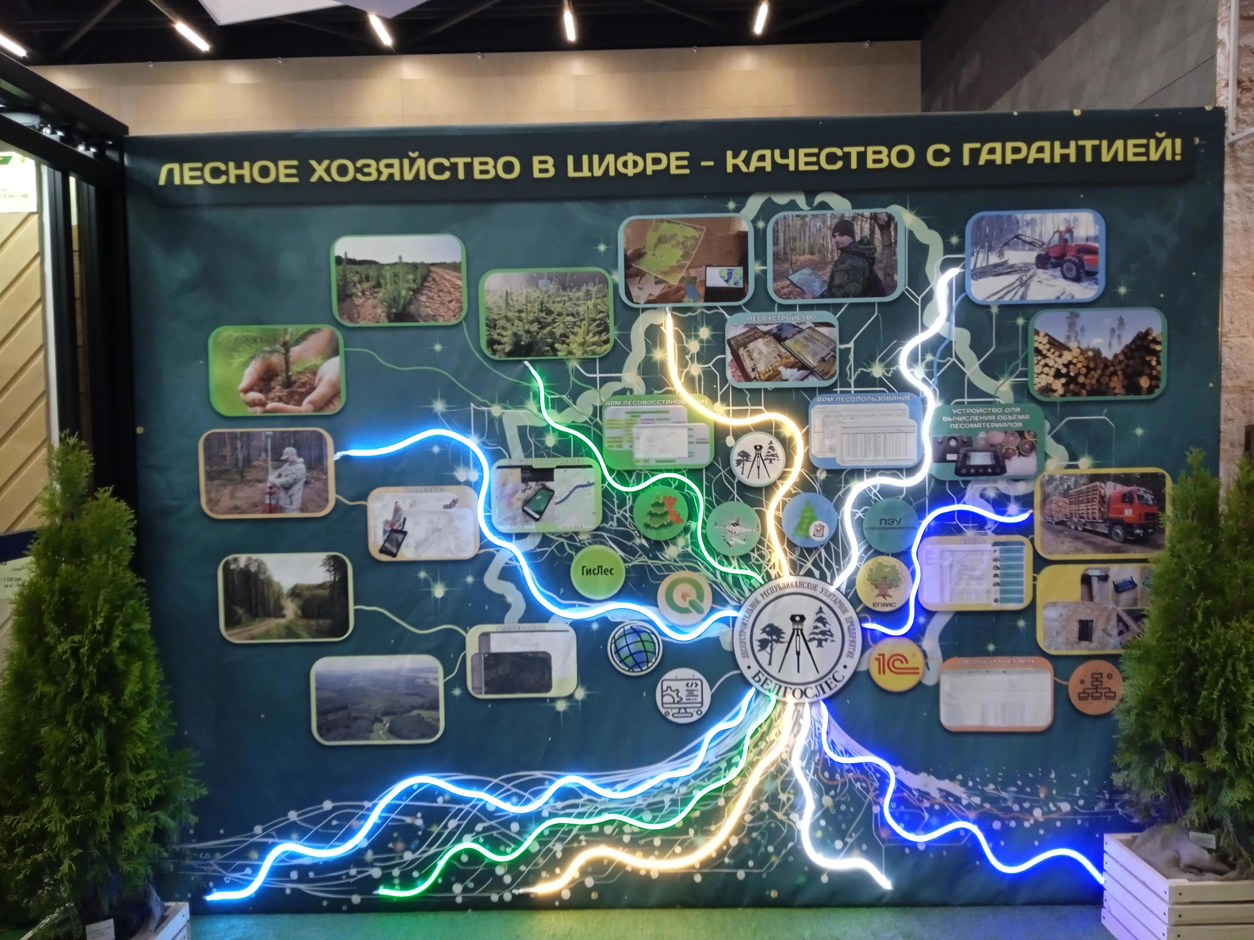 Выставка "Моя Беларусь" - Виктор Агеев-Полторжицкий