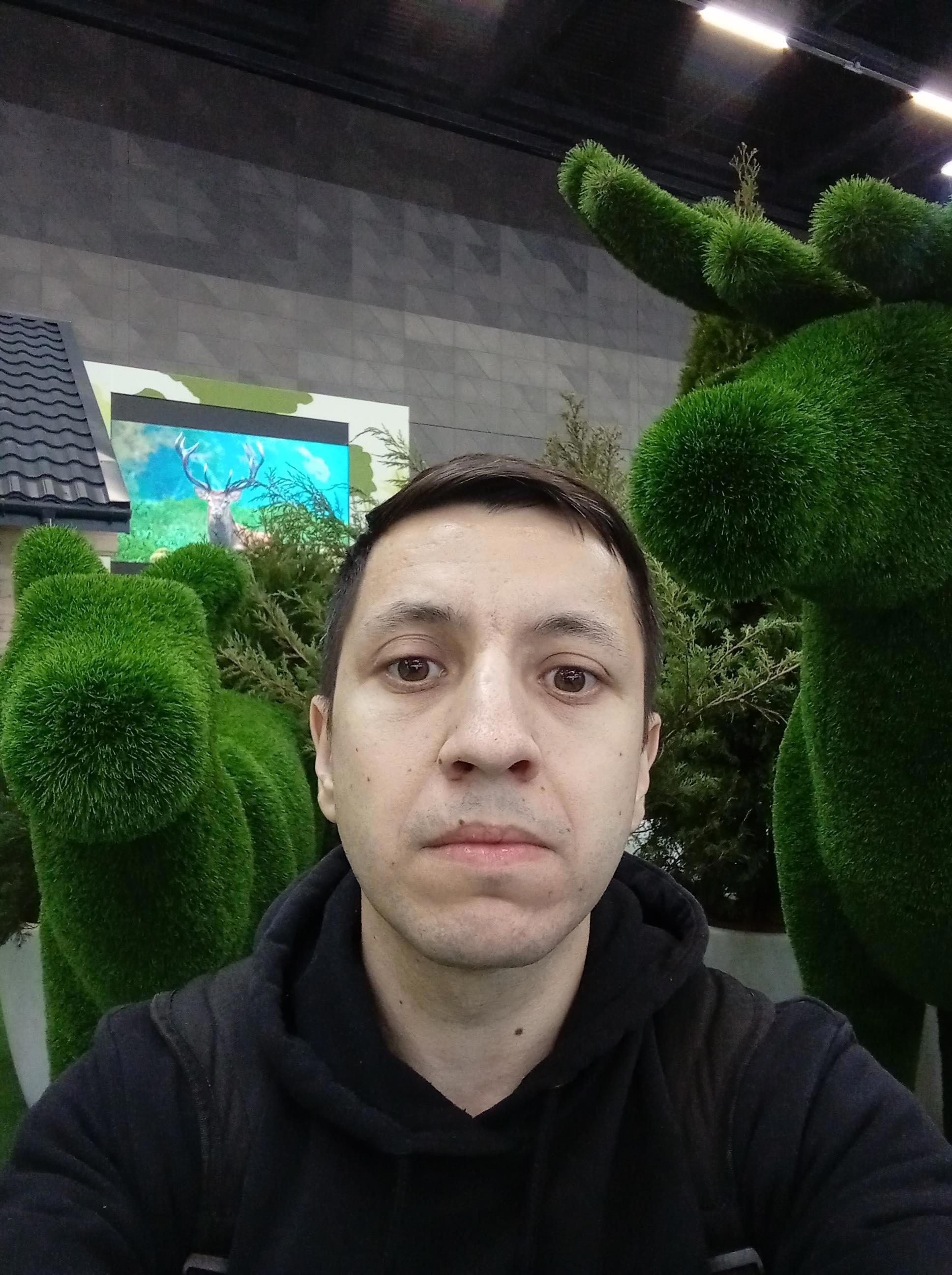 Выставка "Моя Беларусь" - Виктор Агеев-Полторжицкий