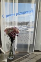 Обложка произведения С днем рождения