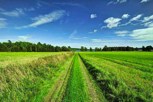 Обложка произведения Катюша