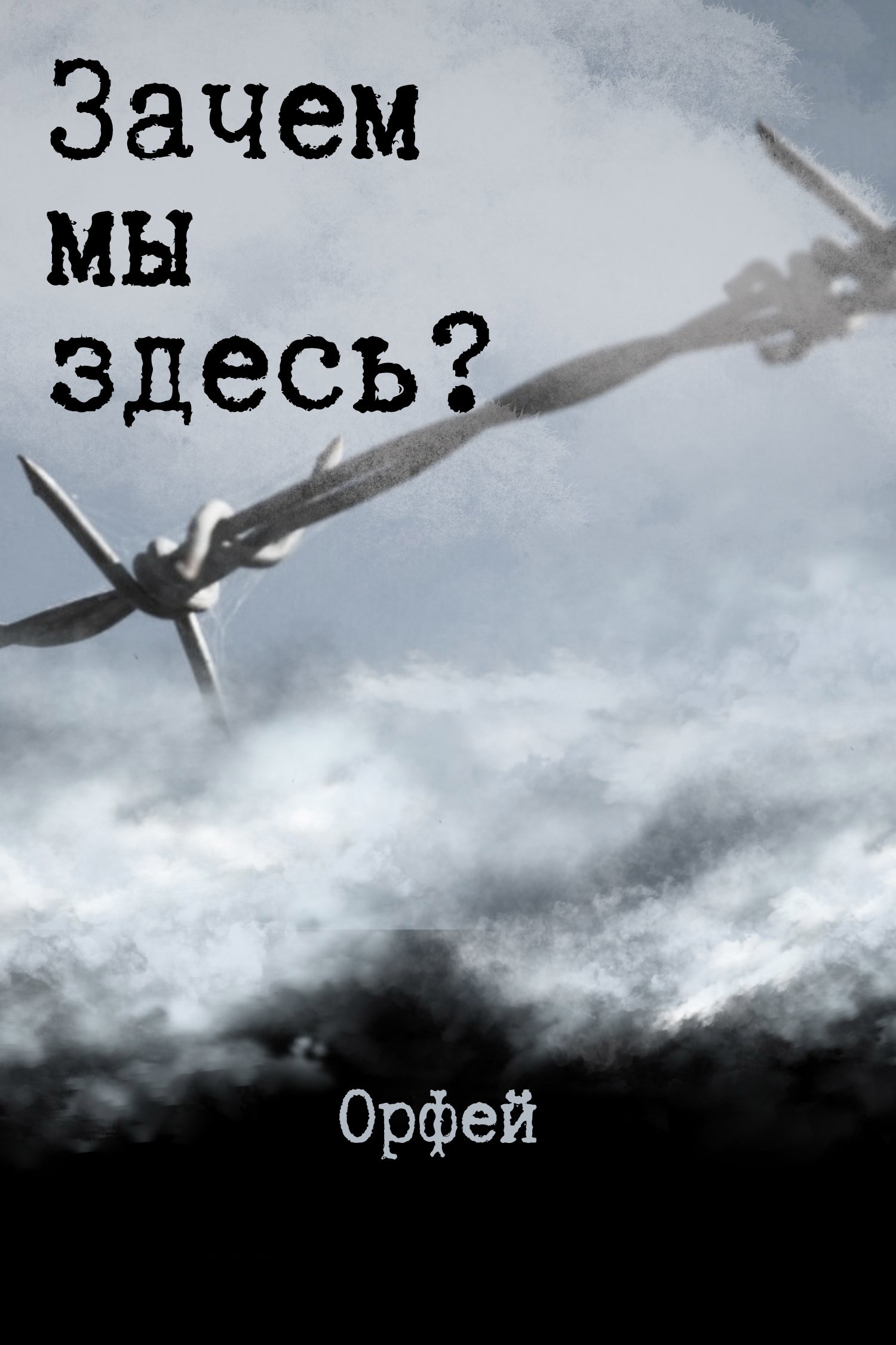 Обложка произведения Зачем мы здесь?