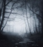 Обложка произведения Mundi Psychos