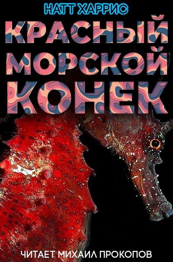 Обложка произведения Красный морской конёк