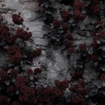 Обложка произведения Сходящие с ума