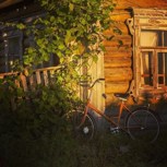 Обложка произведения Истории на террасе