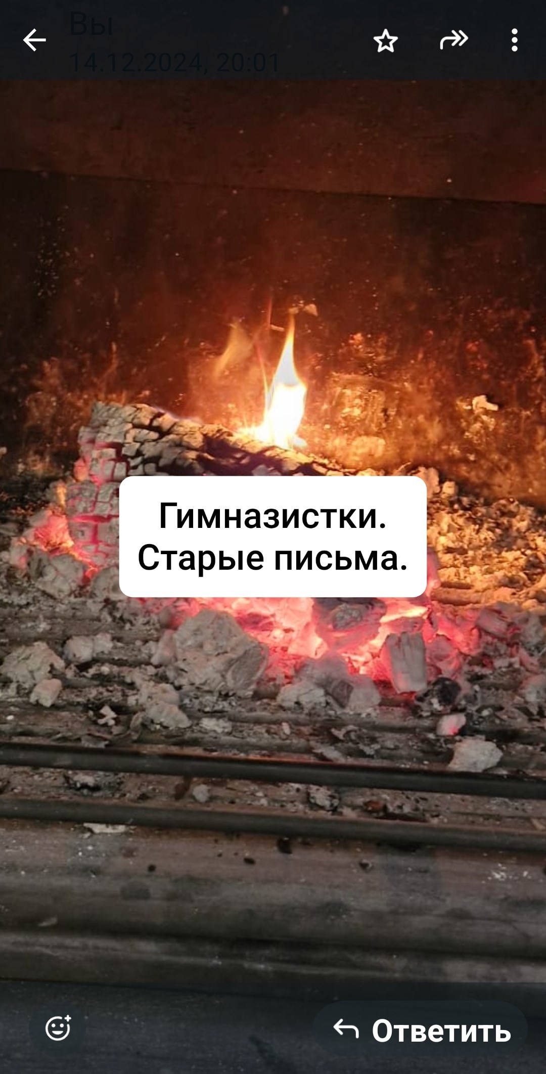 Обложка произведения Гимназистки. Старые письма.