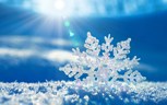 Обложка произведения Утро февраля