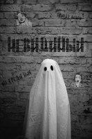 Обложка произведения Невидимый. Эксперимент удался