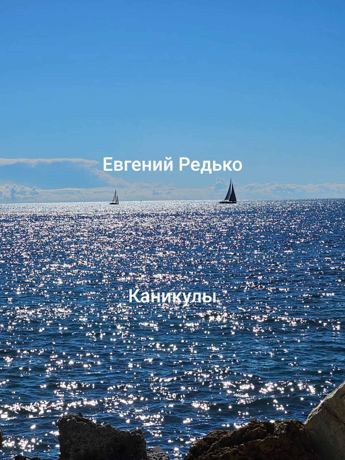 Обложка произведения Каникулы