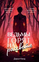Обложка произведения Вeдьмы гoрят на рaссвете