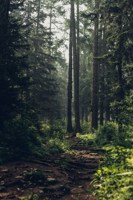 Обложка произведения Хорошей охоты