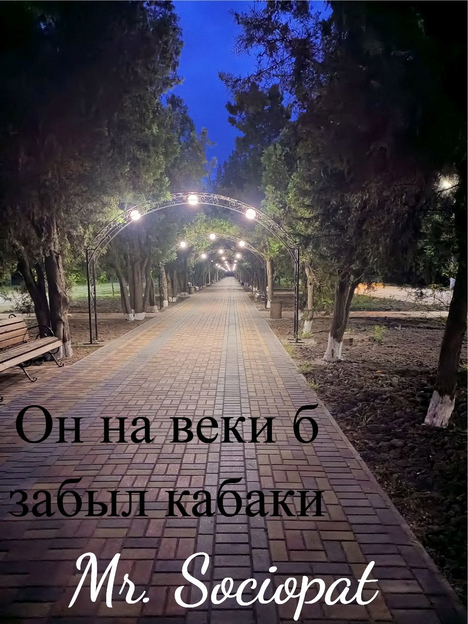 Обложка произведения Он навеки б забыл кабаки