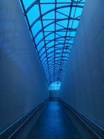 Обложка произведения memento Mori