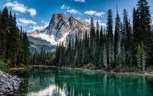 Обложка произведения Лето Каменных Тайн