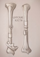 Обложка произведения Царские кости