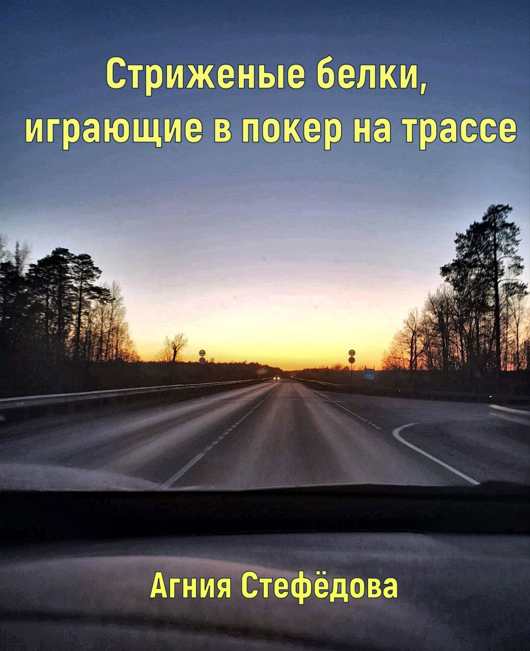 Обложка произведения Стриженые белки, играющие в покер на трассе.