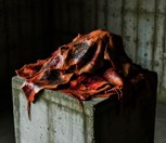 Обложка произведения Объект 005 “И сожгли плоть его за грехи наши"