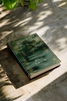 Обложка произведения "ИЗ БОЛИ В ЛЮБОВЬ, Книга - Путь".