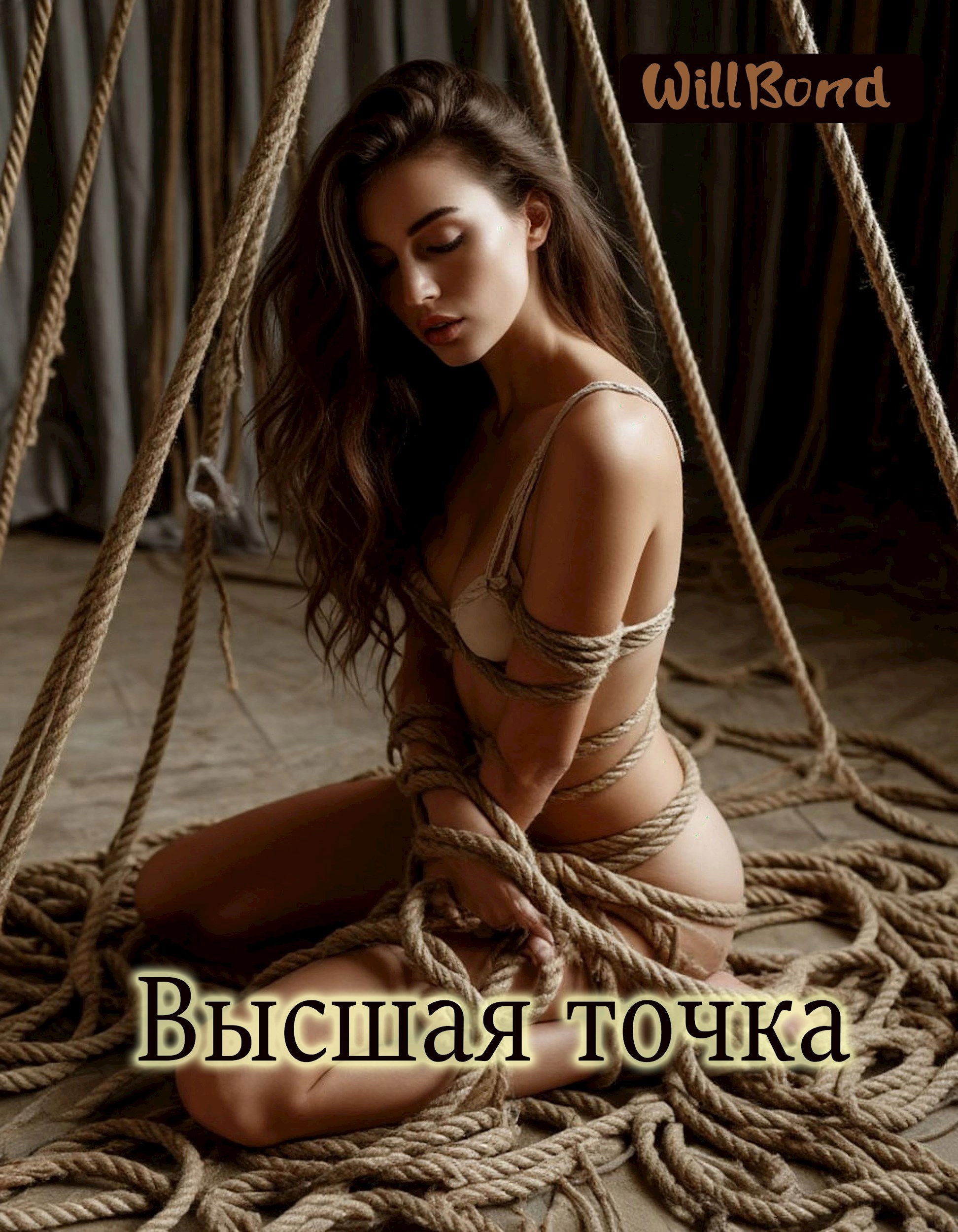 Обложка произведения Высшая точка