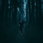 Обложка произведения Бегущий от тени