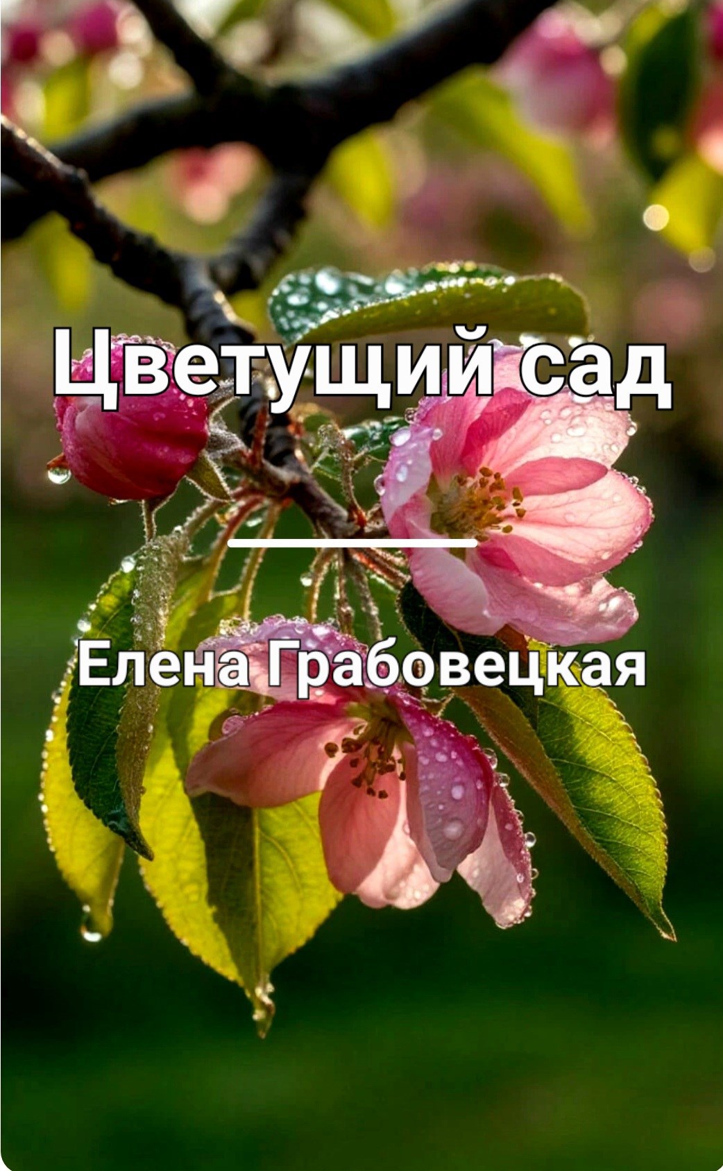 Обложка произведения Цветущий сад