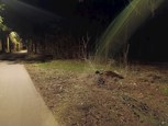 Обложка произведения Объявления о пропаже