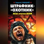 Обложка произведения Штрафник - Охотник Асы против асов