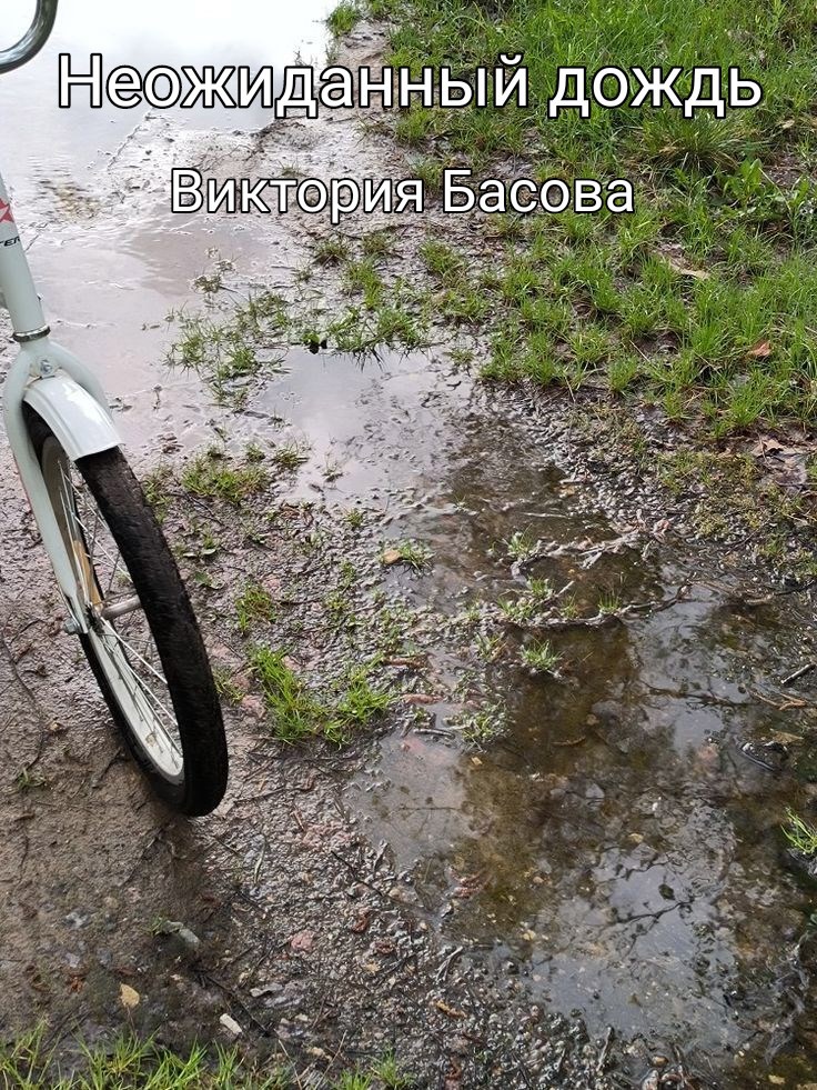Обложка произведения Неожиданный дождь