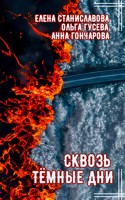 Обложка произведения Сквозь тёмные дни