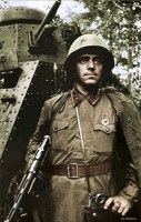 Обложка произведения Соборовское поле