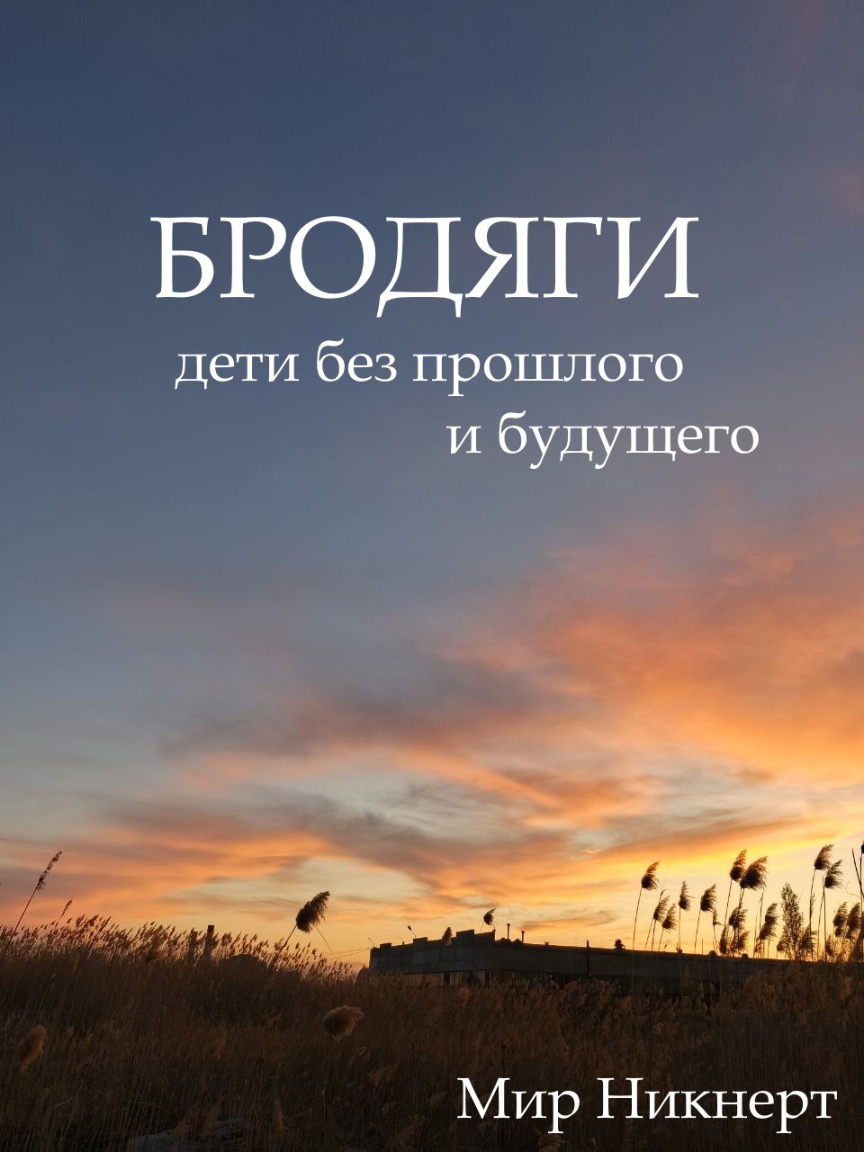 Обложка произведения Бродяги