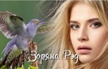 Обложка произведения О чем поет кукушка