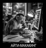 Обложка произведения Айти-макакинг