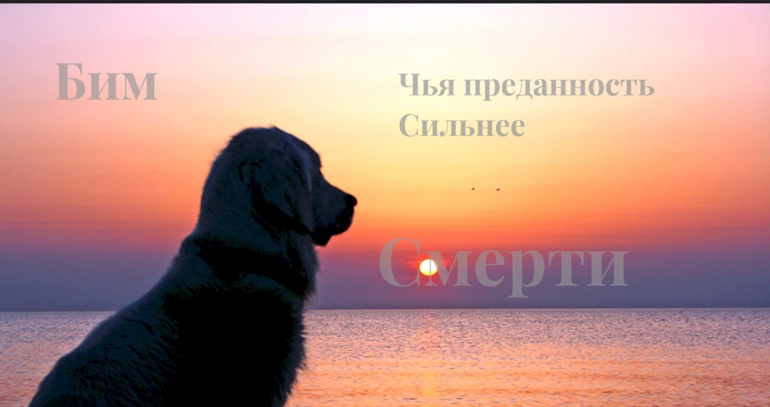 Обложка произведения Бим чья преданность сильнее смерти